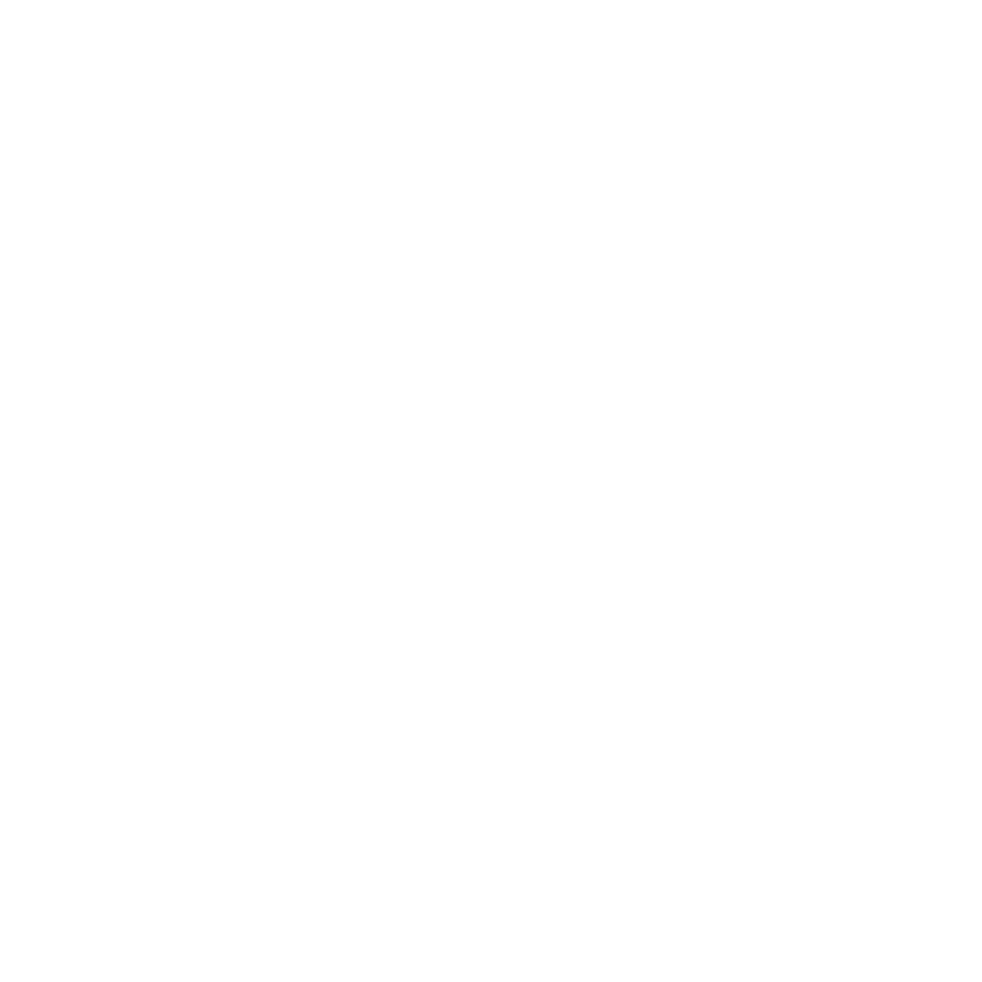 Day Trippers